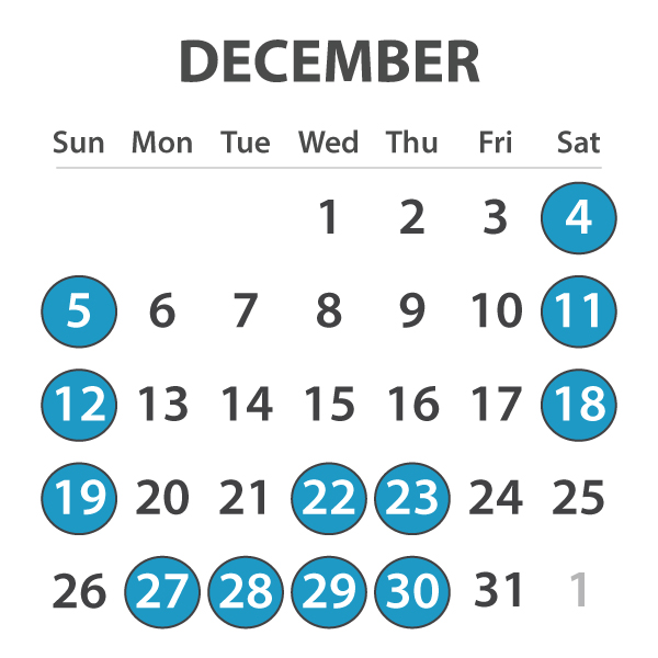 MagicBus Rates/Schedule December