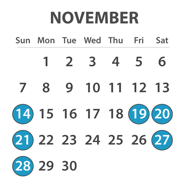 MagicBus Rates/Schedule November
